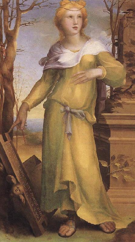 BECCAFUMI, Domenico Tanaquil  gffn oil painting image